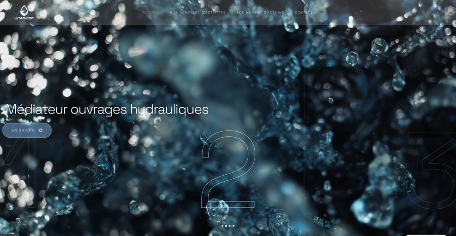 site vitrine expert aquatique